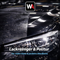 Lackreiniger &amp; Politur