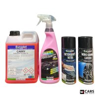 EURODET Komplett-Set: Carry 2L, Euro4 Cockpitpflege,...